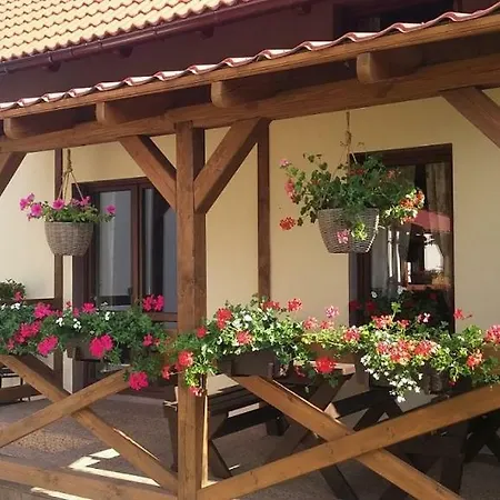 Piotr 2 Stegna (Pomerania)